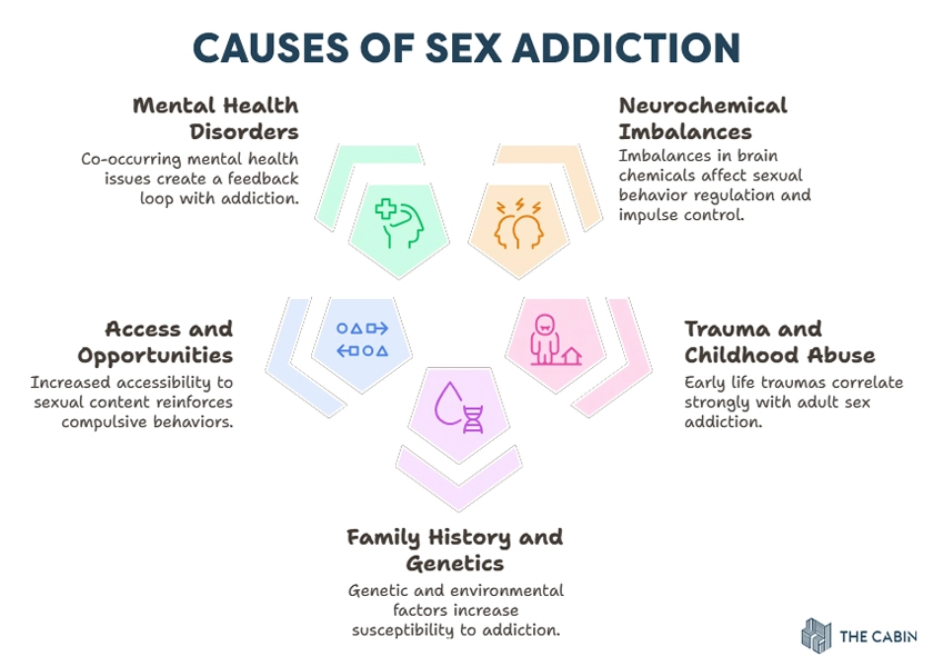 Causes of Sex Addiction