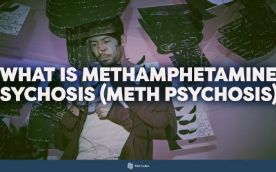 What is Methamphetamine Psychosis (Meth Psychosis)?